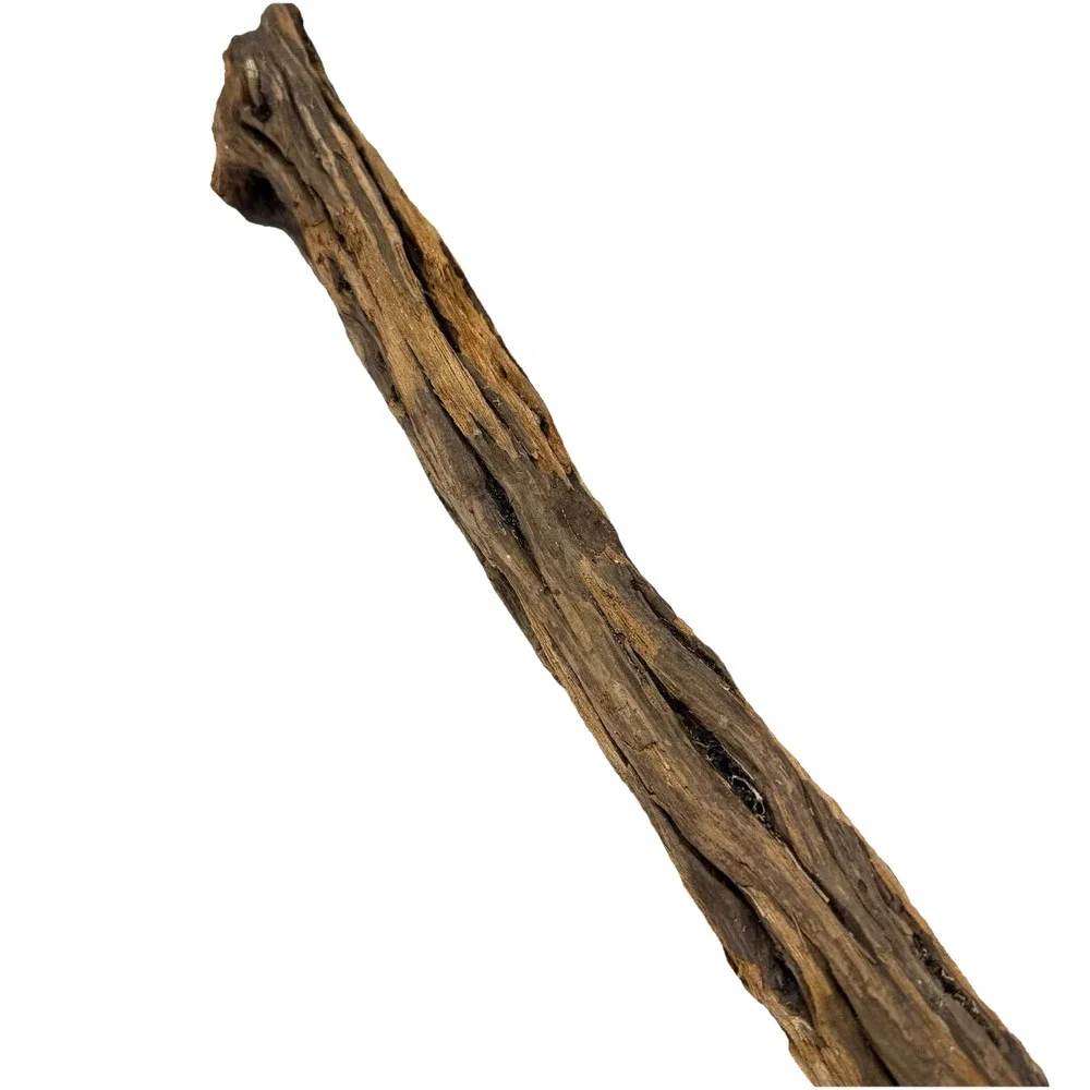 Tall California Driftwood Stick with Deep Grain & Natural Curves – Coastal Decor